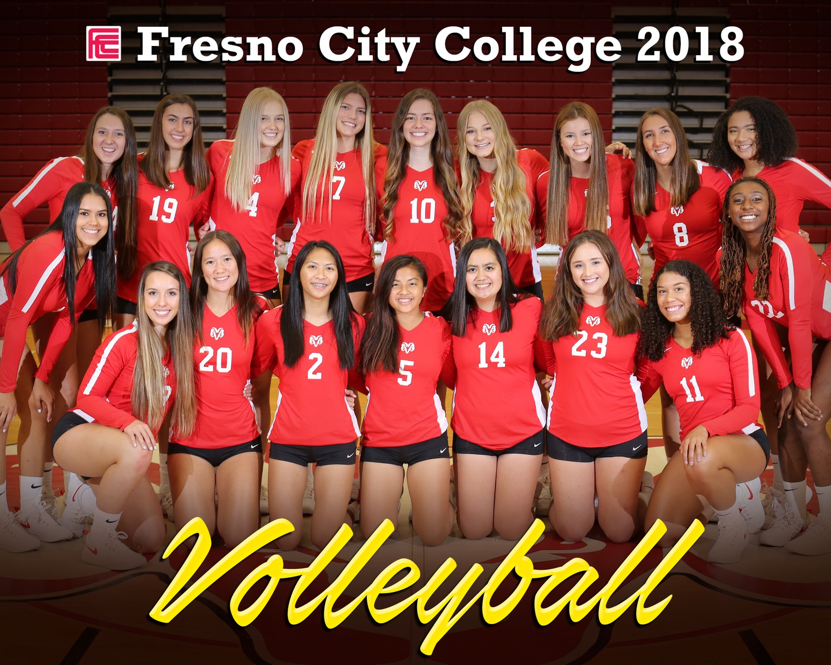 Women's Volleyball